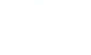 Diving in Dahab Egypt