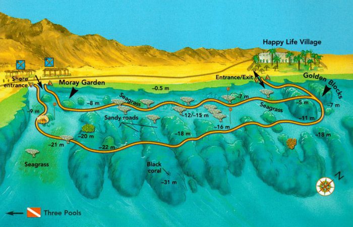 Moragy Garden Dive Site in Dahab, Egypt