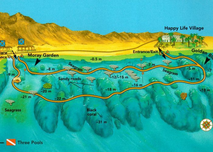 Moragy Garden Dive Site in Dahab, Egypt