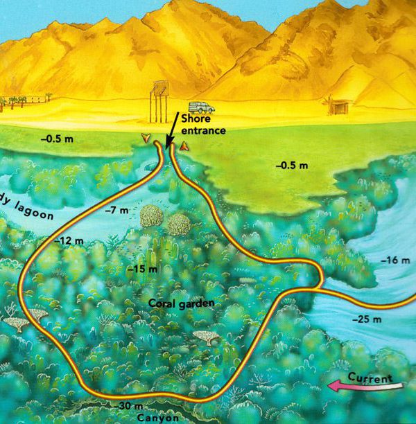 Ras Abu Helal Dive Site in Dahab, Egypt