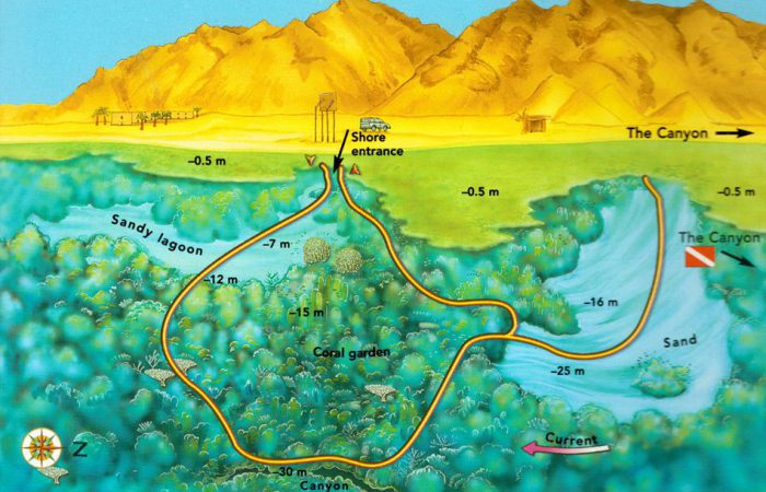 Ras Abu Helal Dive Site in Dahab, Egypt