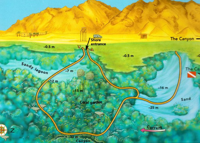 Ras Abu Helal Dive Site in Dahab, Egypt