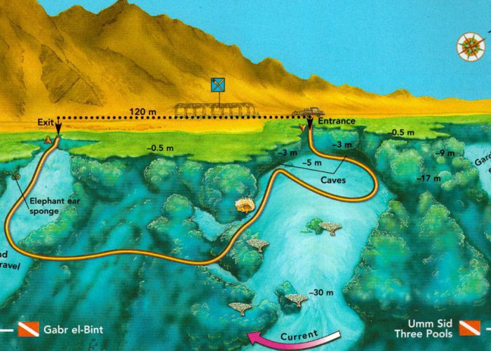 Dahab Dive Sites , Red Sea Tribe Dive Center