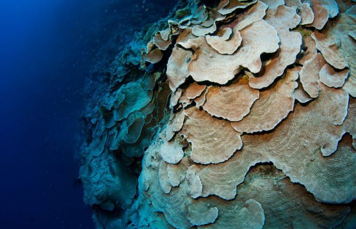 red-sea-great-weather