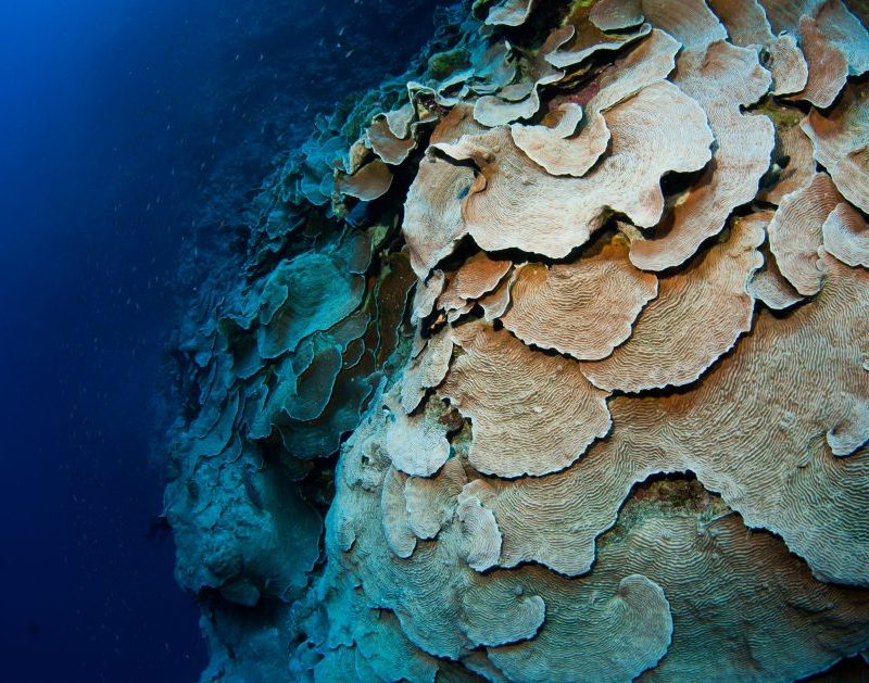 red-sea-great-weather