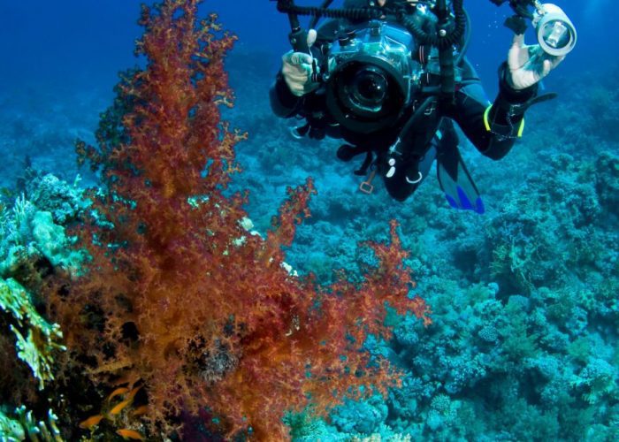 red-sea-dahab-scuba-diving