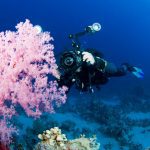 red-sea-tribe-photography-best