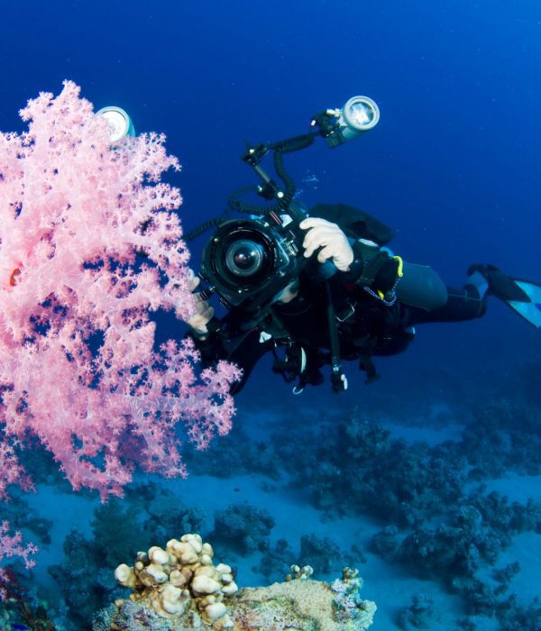 red-sea-tribe-photography-best