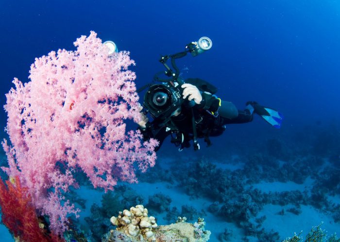 red-sea-tribe-photography-best