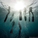 freediving group in dahab egypt