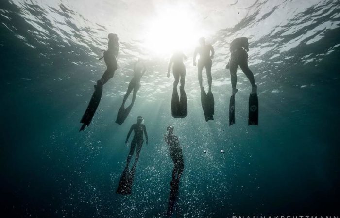 freediving group in dahab egypt