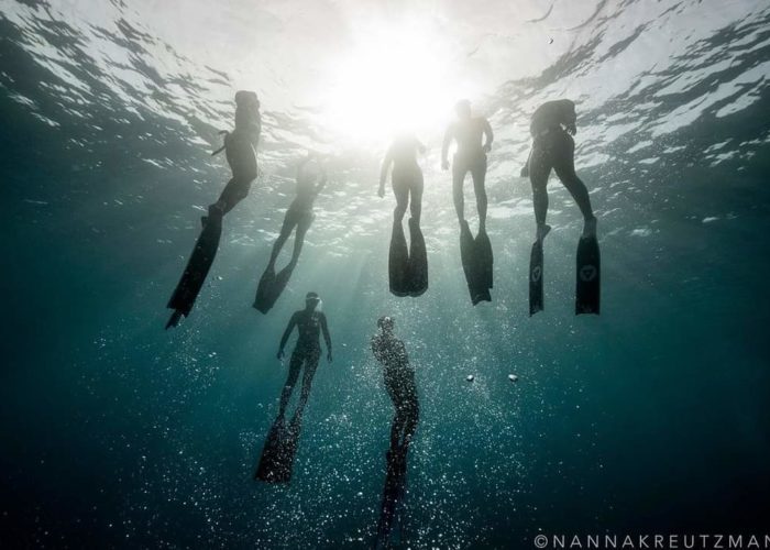 freediving group in dahab egypt