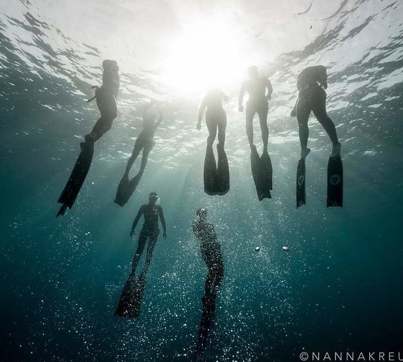 freediving group in dahab egypt