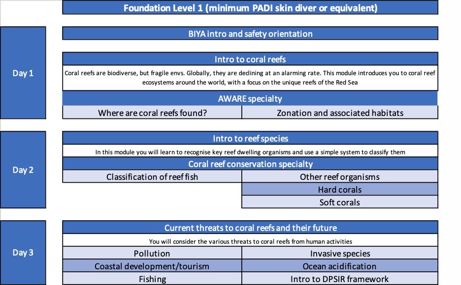 Introduction to Red Sea coral reefs infographic