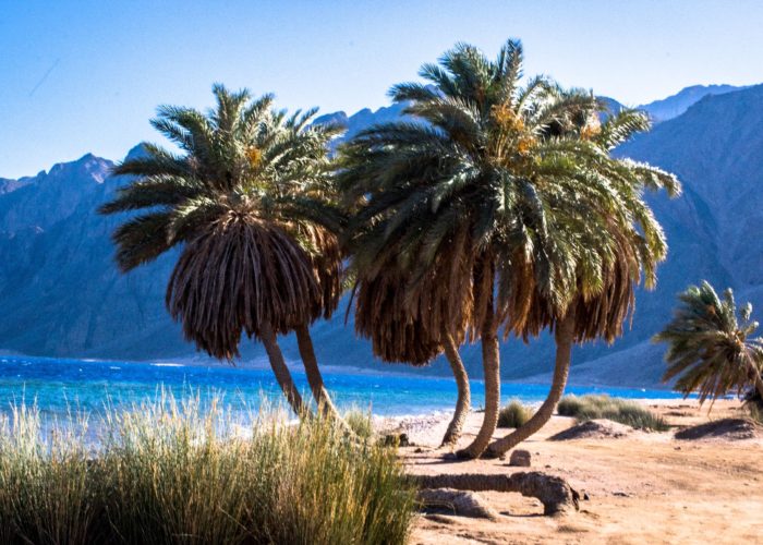 wadi gnai dahab sinai egypt