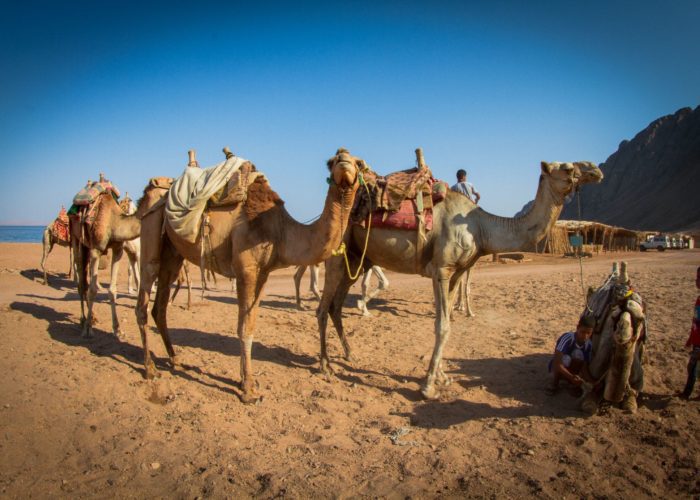 St Catherine’s Monastery sinai